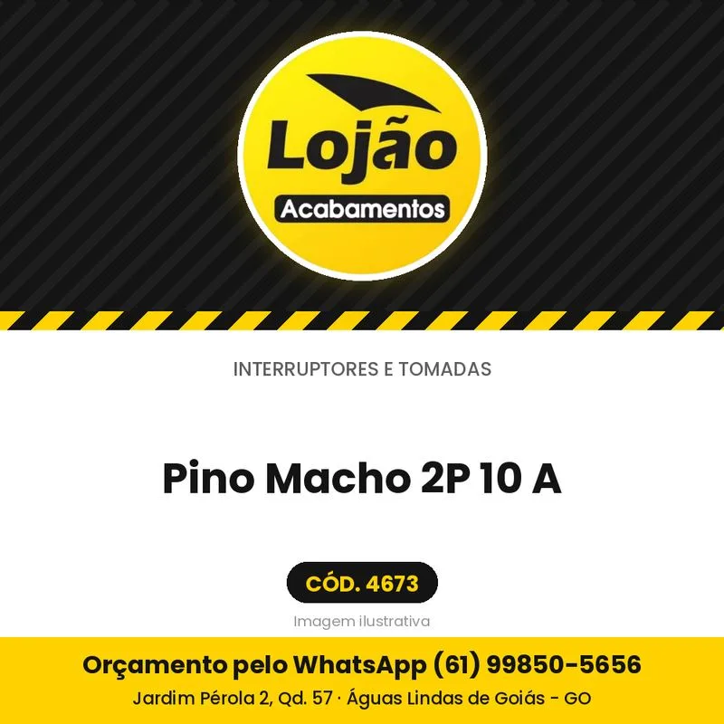 Pino Macho 2P 10 A